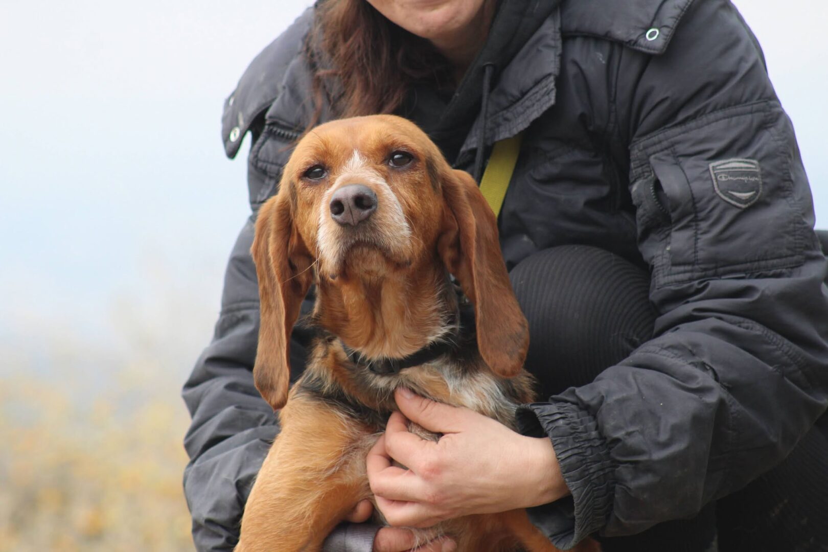 Person in Winterjacke hält einen braunen Hund.