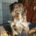 Blink Zorro Dogsavior Jul25 Beitragsbild