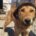 Tom Zorro Dogsavior Mär25 Beitragsbild