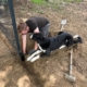 Zorro Dogsavior Baustelle Jul25 2