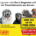Zorro Dogsavior Netto Spendenaktion Beitragsbild