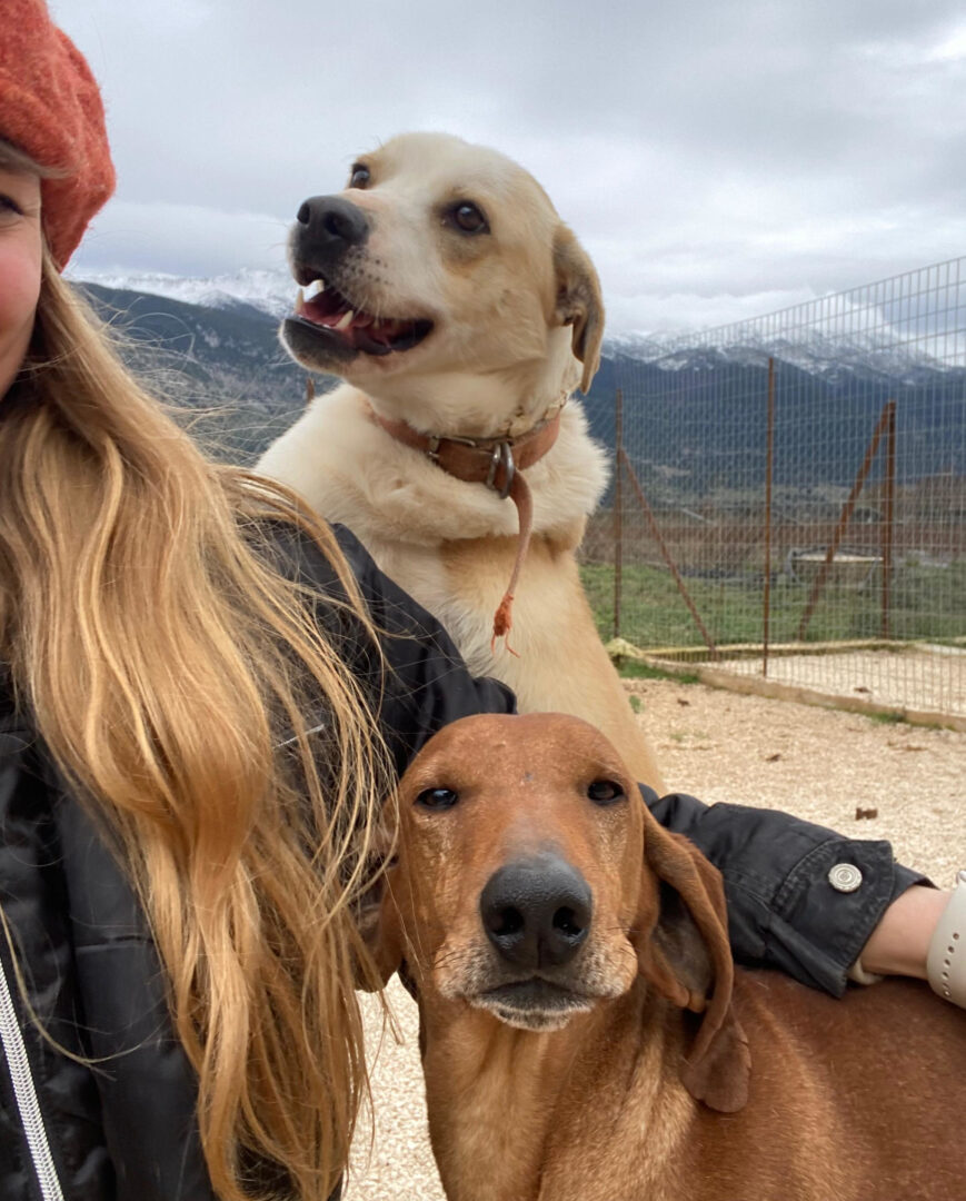 Zwei Hunde mit Frau im Vordergrund vor Bergkulisse und Zaun.