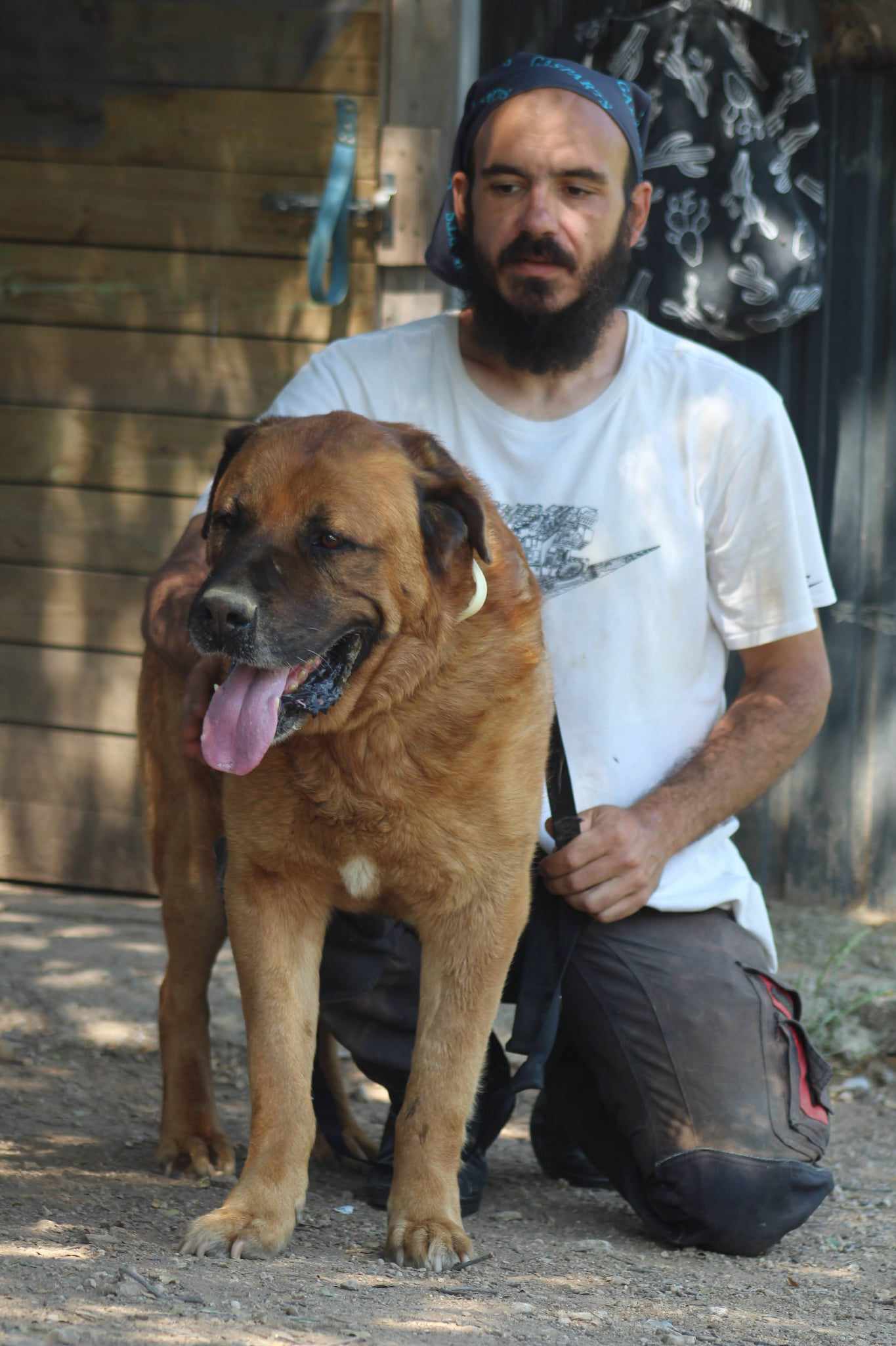 Oliver Zorro Dogsavior Aug25 4