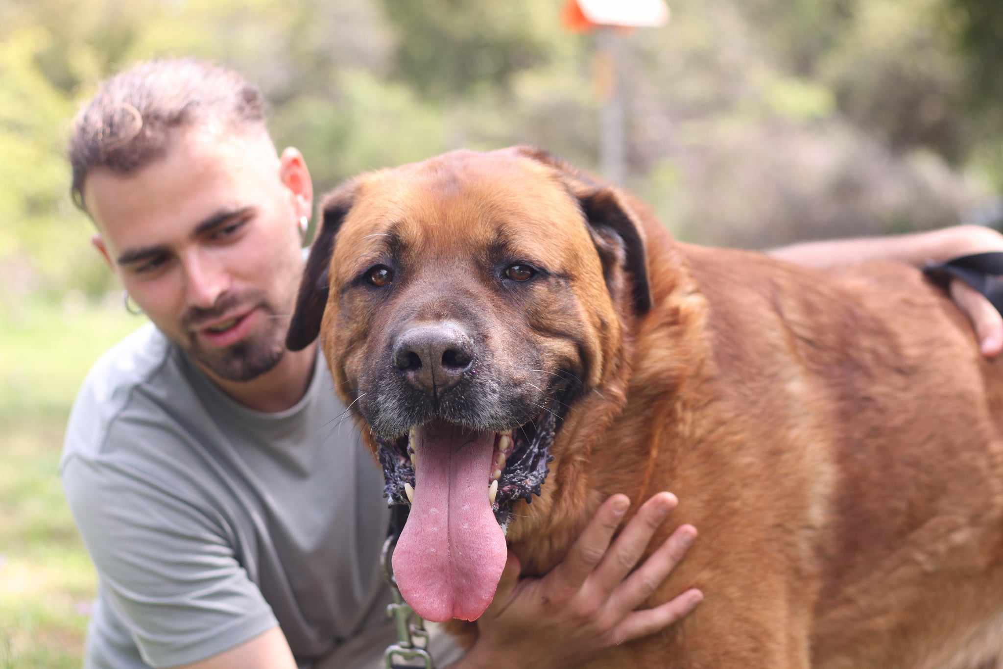 Oliver Zorro Dogsavior Aug25 7