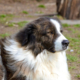 Abschied Mayura Beitragsbild