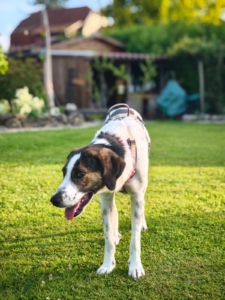 Brownie Gluecksgeschichte 11 2025 4