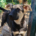 Reina Zorro Dogsavior Sep25 Beitragsbild