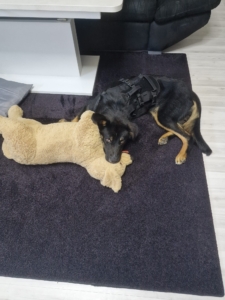 Rio Gluecksgeschichte 10 2025 2