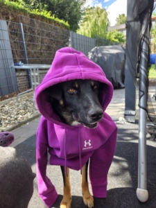 Rio Gluecksgeschichte 10 2025 5