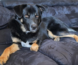 Rio Gluecksgeschichte HP 10 2025