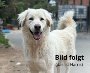 Bild folgt