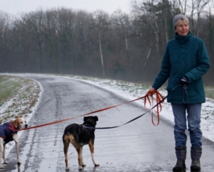 Kassenwartin Gabriele Nuessle