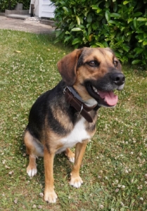 Fedon Gluecksgeschichte 11 2025 3