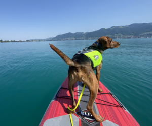 Vaggos Gluecksgeschichten HP 11 2025 3