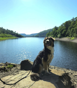 Zaira Gluecksgeschichte 11 2025 1