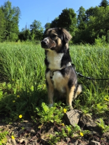 Zaira Gluecksgeschichte 11 2025