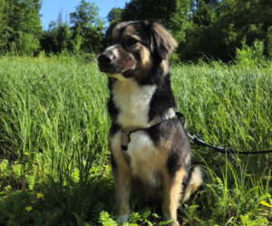 Zaira Gluecksgeschichte HP 11 2025