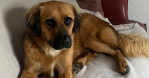 Billy Gluecksgeschichte Dez25 Beitragsbild