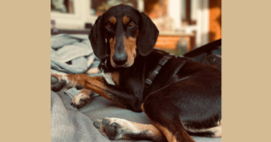 Floyd Gluecksgeschichten Beitragsbild Jan26