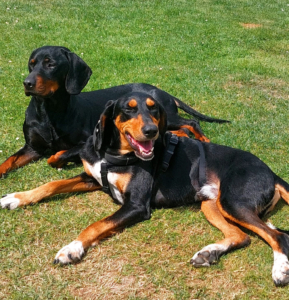 Floyd Gluecksgeschichten Jan26 2