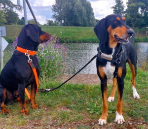 Floyd Gluecksgeschichten Jan26