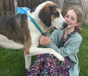 Kallisto Gluecksgeschichte Dez25 2