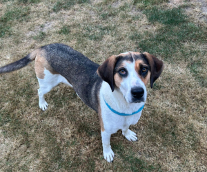 Kallisto Gluecksgeschichte HP Dez25