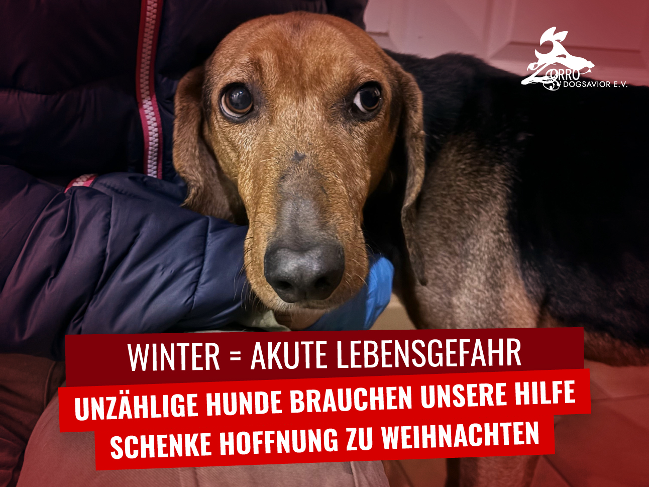 sos post quer sos post quer