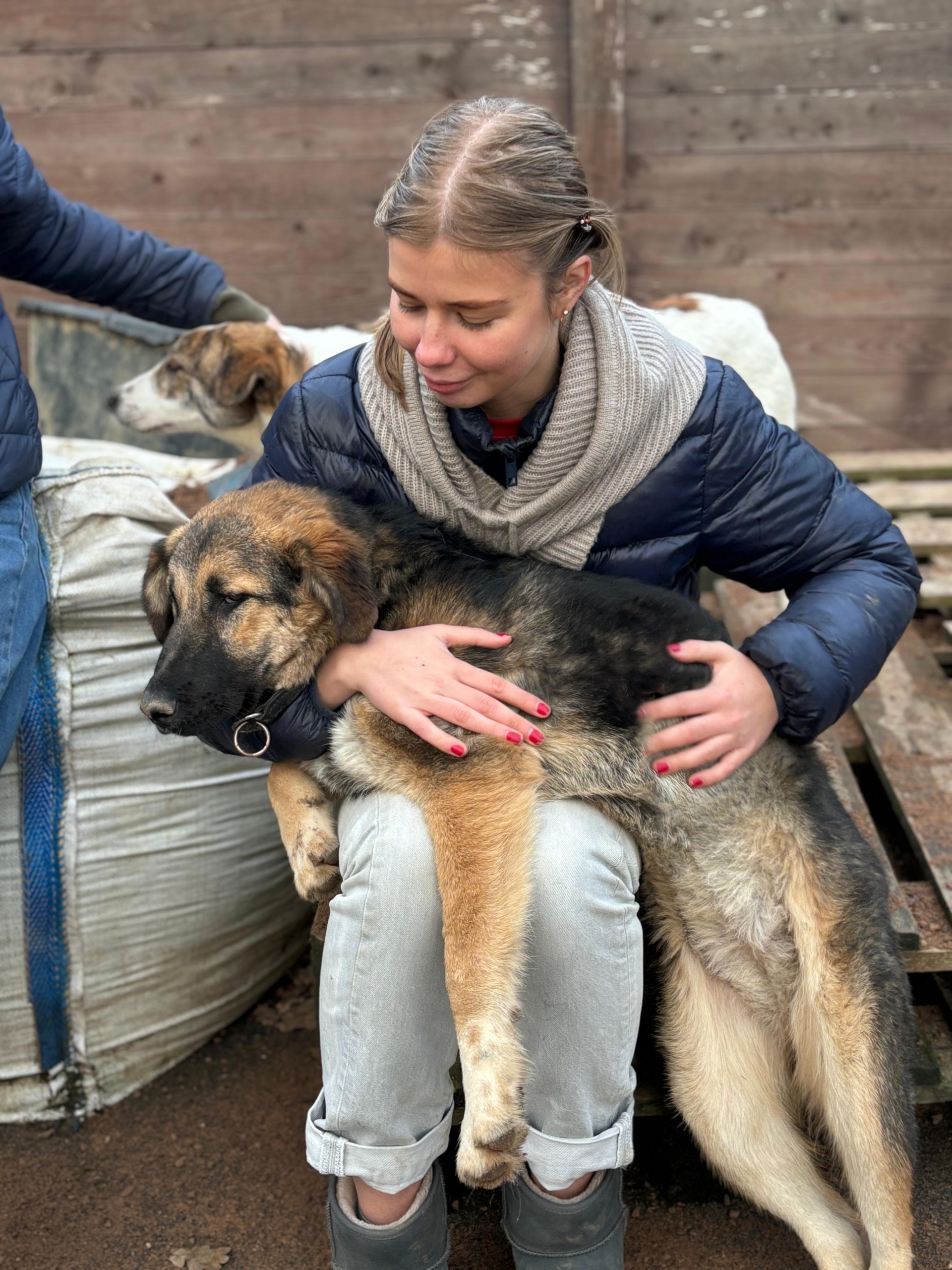 Sissy Zorro Dogsavior Dez25 2