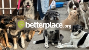 Spenden über Betterplace