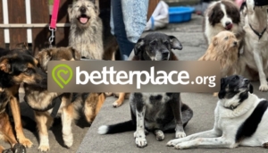 Spenden über betterplace