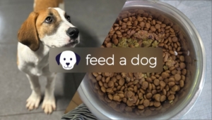 Spenden über Feed a Dog