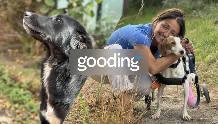 Spenden über gooding