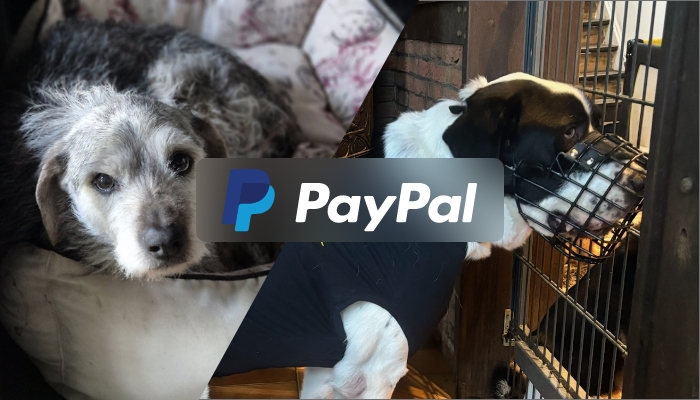 Spenden über PayPal