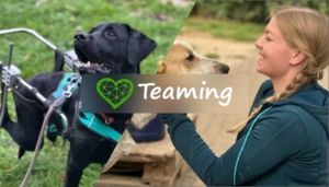 Spenden über Teaming