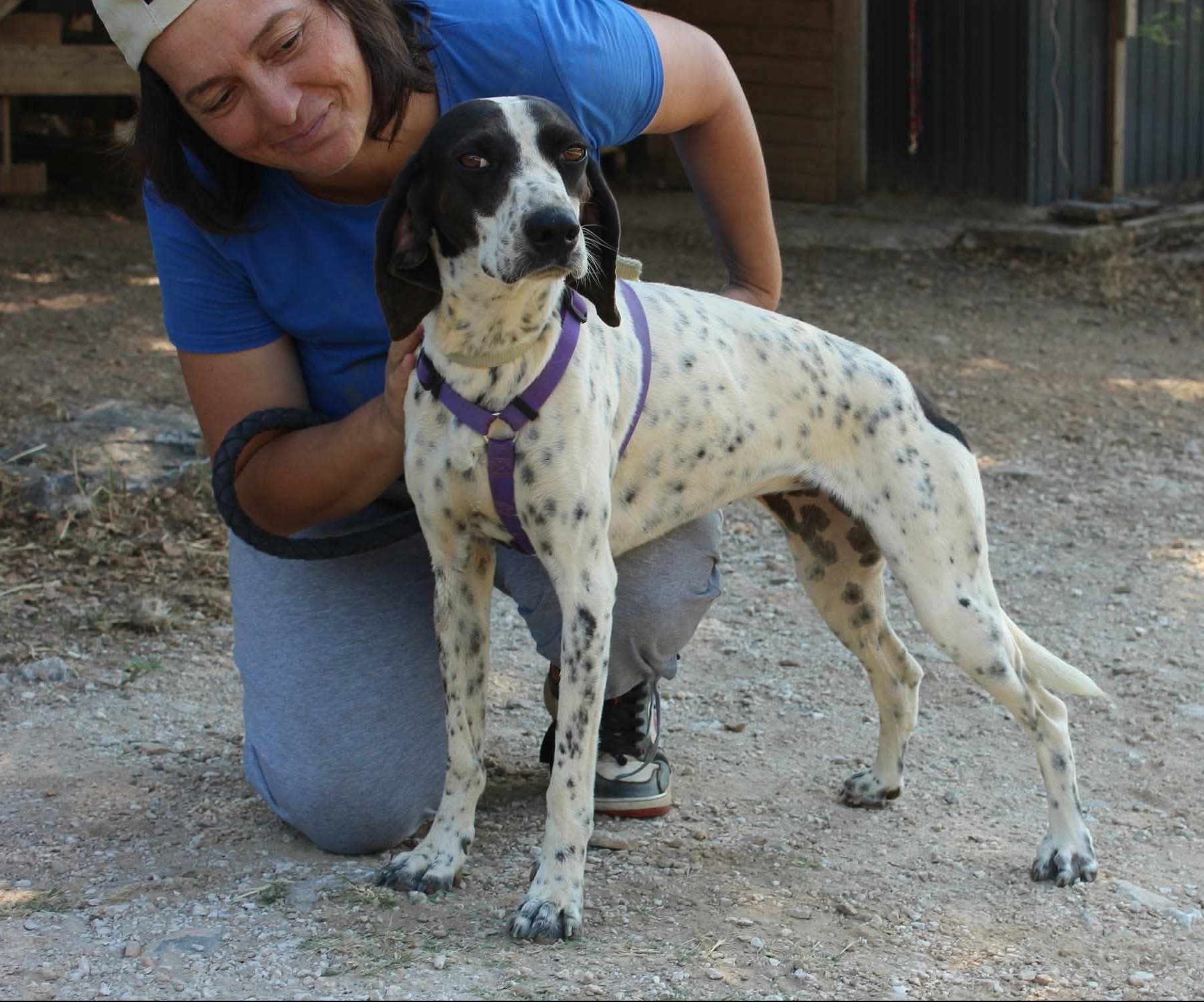 Leni Zorro Dogsavior Aug26 3