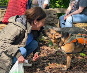 Adoptantentreff Zorro Dogsavior Mai26 1 Beitragsbild