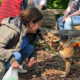 Adoptantentreff Zorro Dogsavior Mai26 1 Beitragsbild