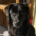 Bobbo Zorro Dogsavior Mai26 Beitragsbild