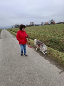 Mavi geht mit seinem Menschen spazieren