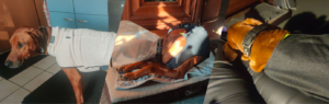 3er Kachel von Notfall-Hund Arko