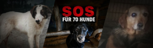 griechenland not