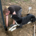 Arbeiten Zorro Dogsavior Jul26 1 Beitragsbild