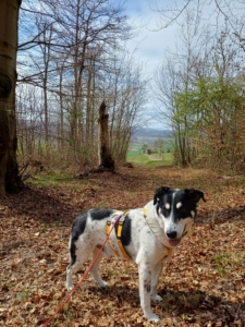 Jack Gluecksgeschichte 08 2026