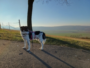 Jack schaut in die Ferne über eine Berglandschaft