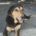 Oskar Zorro Dogsavior Jun26 Beitragsbild
