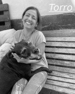 Torro Zorro Dogsavior Jul26 1