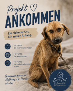 projekt ANKOMMEN