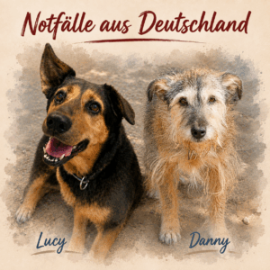 Notfälle Lucy und Danny