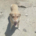 Katerina Zorro Dogsavior Jun26 Beitragsbild